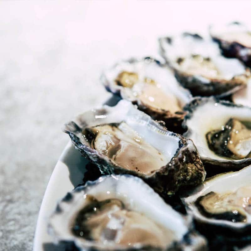 Closeup of a plate of fresh oysters